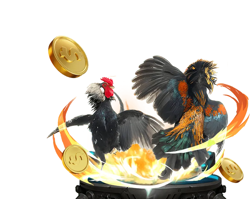 Khuyến mãi hấp dẫn tại 6ff Trang Chủ